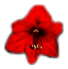 hibiscus1.jpg (8193 bytes)